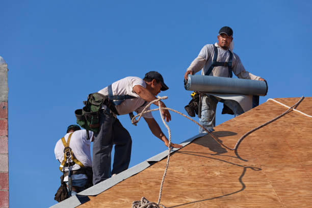 Best Gutter Installation and Roofing  in Westwood Lakes, FL